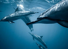 星空体育app-体育社区：让运动成为共同的语言