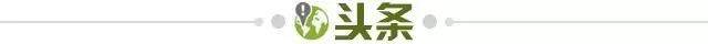 星空体育app下载-【早报】接班女足,“邵二期”国足悉尼开练!